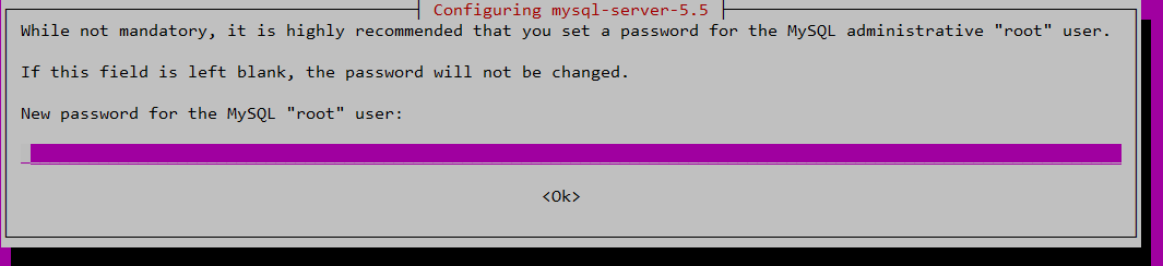 mysql_installation_pwd.png